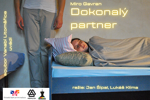DOKONALÝ PARTNER