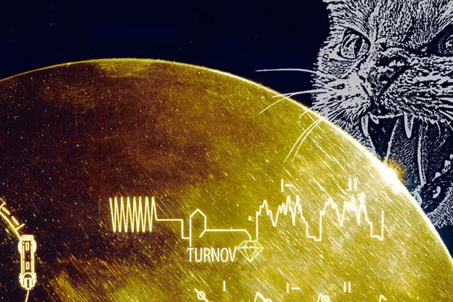 =festival Žlutomodrý kocour 2025 Turnov
